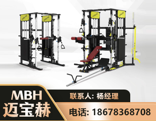 郴州多功能综合训练器